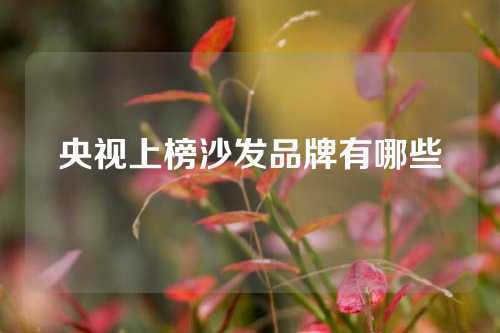 央视上榜沙发品牌有哪些
