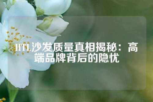 HTL沙发质量真相揭秘：高端品牌背后的隐忧