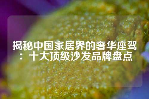 揭秘中国家居界的奢华座驾：十大顶级沙发品牌盘点