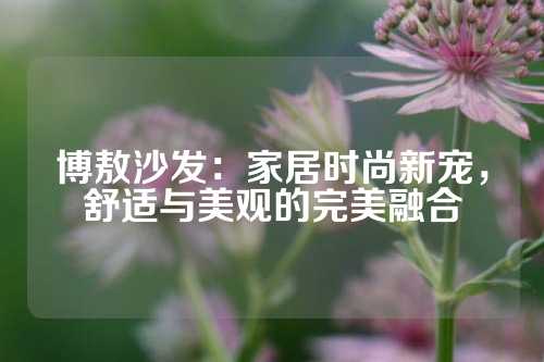 博敖沙发：家居时尚新宠，舒适与美观的完美融合