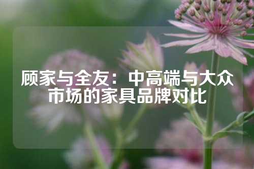 顾家与全友：中高端与大众市场的家具品牌对比
