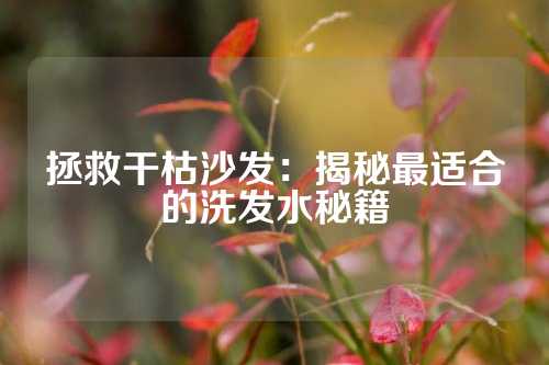 拯救干枯沙发：揭秘最适合的洗发水秘籍
