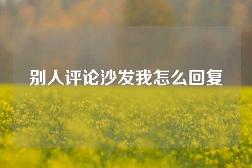 别人评论沙发我怎么回复