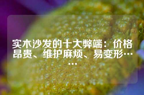 实木沙发的十大弊端：价格昂贵、维护麻烦、易变形……