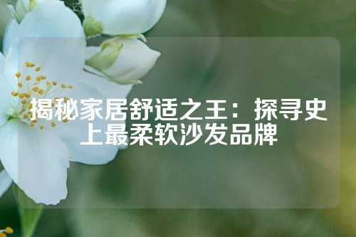 揭秘家居舒适之王：探寻史上最柔软沙发品牌