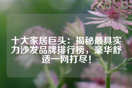 十大家居巨头：揭秘最具实力沙发品牌排行榜，豪华舒适一网打尽！