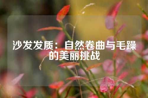 沙发发质：自然卷曲与毛躁的美丽挑战