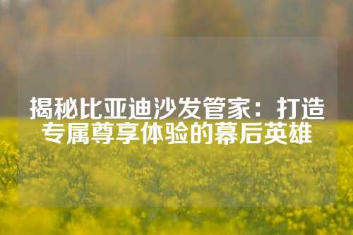 揭秘比亚迪沙发管家：打造专属尊享体验的幕后英雄