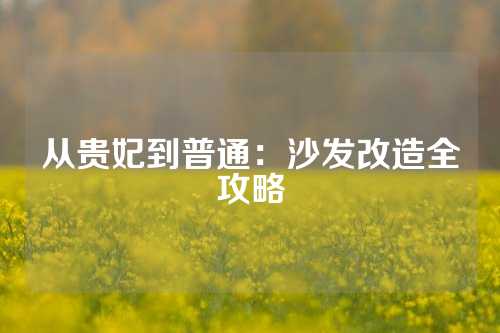 从贵妃到普通:沙发改造全攻略