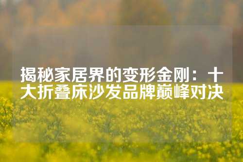 揭秘家居界的变形金刚：十大折叠床沙发品牌巅峰对决