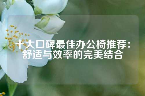 十大口碑最佳办公椅推荐：舒适与效率的完美结合