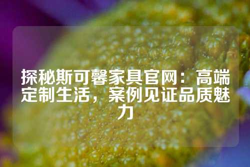 探秘斯可馨家具官网：高端定制生活，案例见证品质魅力