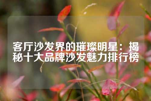 客厅沙发界的璀璨明星：揭秘十大品牌沙发魅力排行榜