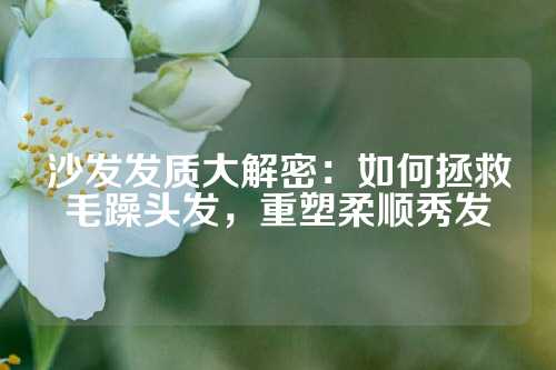 沙发发质大解密：如何拯救毛躁头发，重塑柔顺秀发