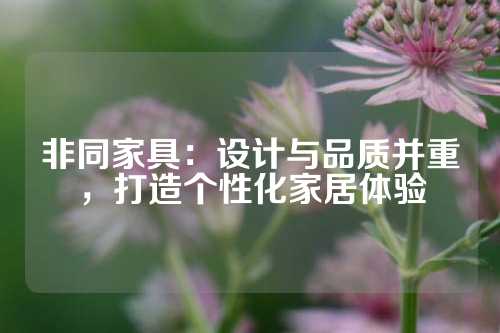 非同家具：设计与品质并重，打造个性化家居体验