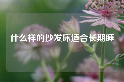什么样的沙发床适合长期睡