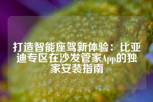 打造智能座驾新体验：比亚迪专区在沙发管家App的独家安装指南
