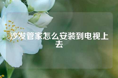 沙发管家怎么安装到电视上去