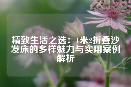 精致生活之选：1米2折叠沙发床的多样魅力与实用案例解析