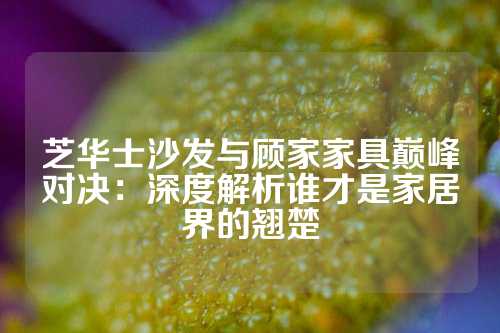 芝华士沙发与顾家家具巅峰对决：深度解析谁才是家居界的翘楚