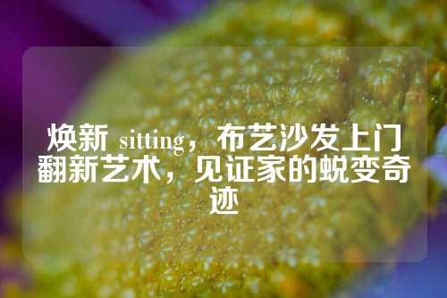 焕新 sitting，布艺沙发上门翻新艺术，见证家的蜕变奇迹