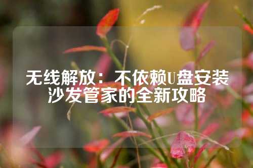 无线解放：不依赖U盘安装沙发管家的全新攻略