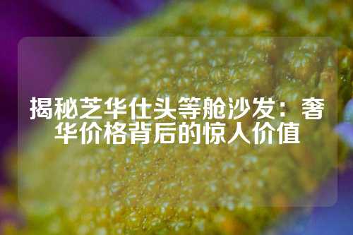 揭秘芝华仕头等舱沙发:奢华价格背后的惊人价值