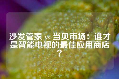 沙发管家 vs 当贝市场：谁才是智能电视的最佳应用商店？