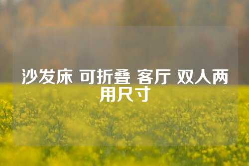沙发床 可折叠 客厅 双人两用尺寸