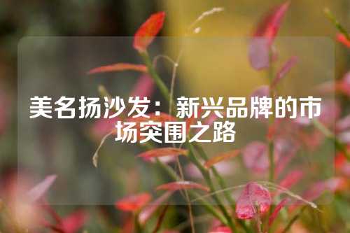 美名扬沙发：新兴品牌的市场突围之路
