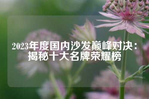 2023年度国内沙发巅峰对决：揭秘十大名牌荣耀榜