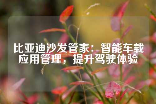 比亚迪沙发管家：智能车载应用管理，提升驾驶体验