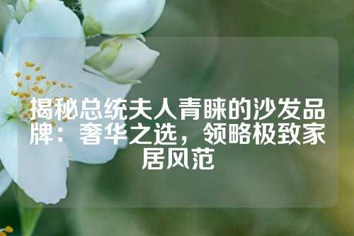 揭秘总统夫人青睐的沙发品牌：奢华之选，领略极致家居风范