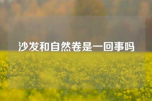 沙发和自然卷是一回事吗