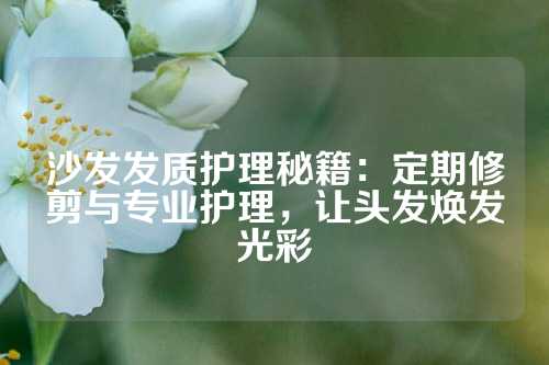沙发发质护理秘籍：定期修剪与专业护理，让头发焕发光彩