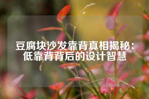 豆腐块沙发靠背真相揭秘：低靠背背后的设计智慧