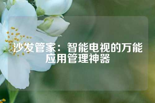 沙发管家：智能电视的万能应用管理神器