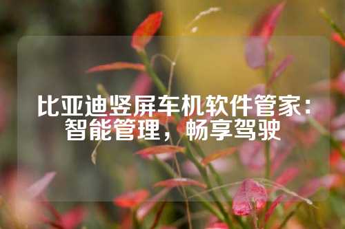 比亚迪竖屏车机软件管家：智能管理，畅享驾驶