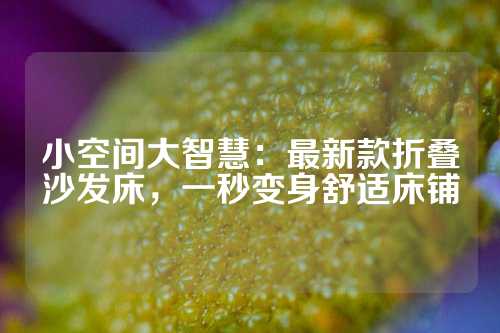 小空间大智慧:最新款折叠沙发床,一秒变身舒适床铺