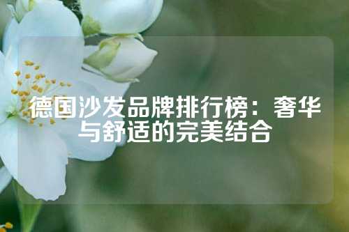 德国沙发品牌排行榜：奢华与舒适的完美结合
