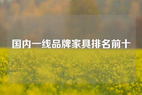 国内一线品牌家具排名前十
