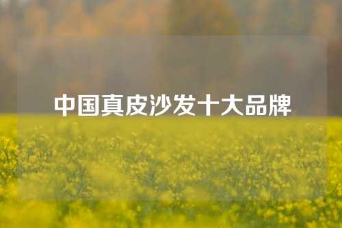 中国真皮沙发十大品牌
