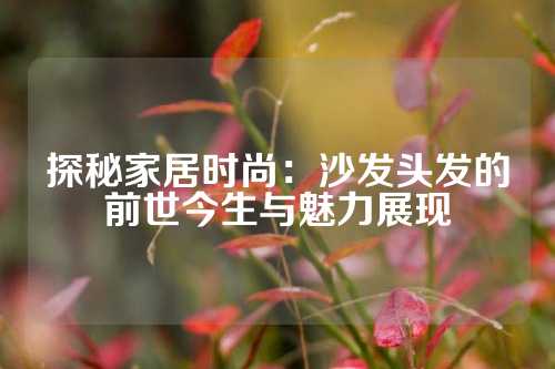 探秘家居时尚：沙发头发的前世今生与魅力展现