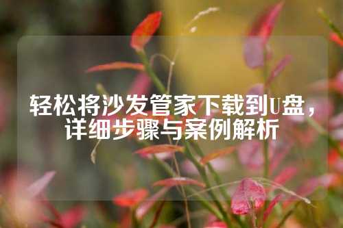 轻松将沙发管家下载到U盘，详细步骤与案例解析