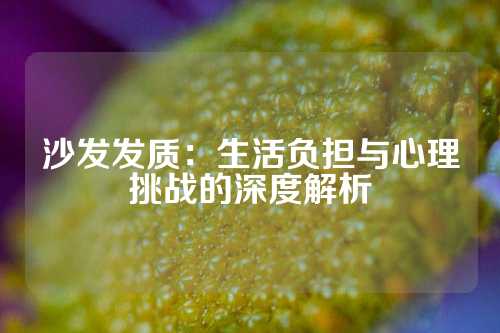 沙发发质：生活负担与心理挑战的深度解析