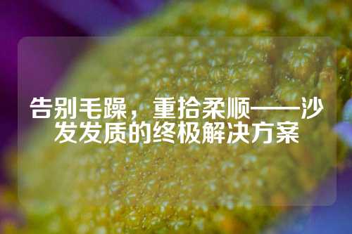 告别毛躁，重拾柔顺——沙发发质的终极解决方案