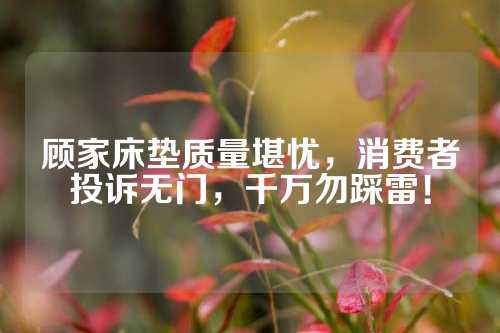 顾家床垫质量堪忧，消费者投诉无门，千万勿踩雷！