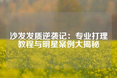 沙发发质逆袭记：专业打理教程与明星案例大揭秘