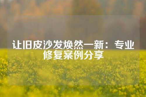 让旧皮沙发焕然一新：专业修复案例分享