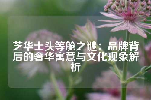 芝华士头等舱之谜：品牌背后的奢华寓意与文化现象解析
